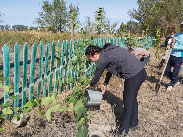 «World clean up day»