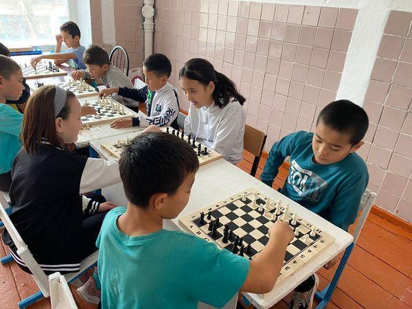 шахмат сайысы